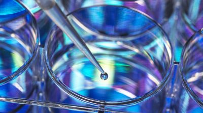 Foley Advises EpiVax in Acquisition by SV Health Investors_69e6440476958.jpeg